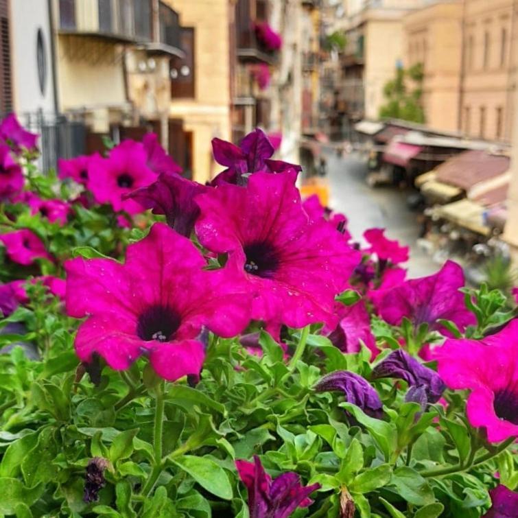 Il Rosone Luxury B&B Palermo Eksteriør billede